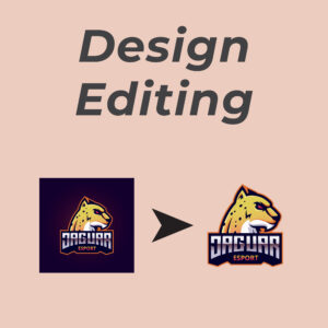 Design Editing